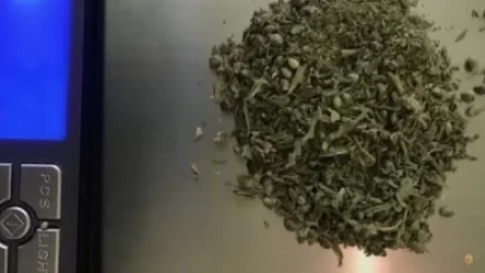 Վարդենիսում 3 երիտասարդի բերման են ենթարկել` թմրամիջոց իրացնելու համար