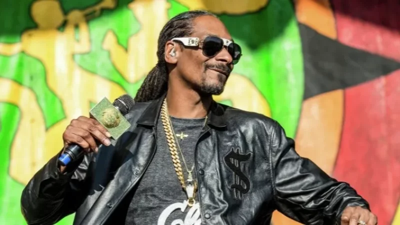 Հայտնի է, թե Հայաստանի պետբյուջեից որքան գումար կտրամադրվի Snoop Dogg-ի համերգի համար