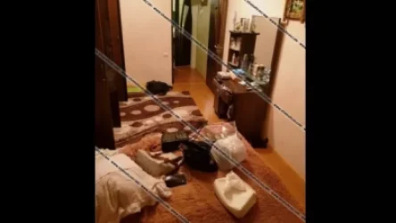 Ոստիկանները հայտնաբերել են բնակարանային գողերին՝ «Պատառաքաղին», «Շերեփին» ու «Գդալինը». մեկը կին է