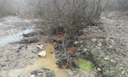 Ի՞նչ է Թեղուտի հանքի տարածքից թափվում Մանստևի գետը․ահազանգում են բնապահպանները