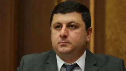 Արեն Արամյանի առողջական վիճակը անհամատեղելի է կալանքի հետ. Աբրահամյան