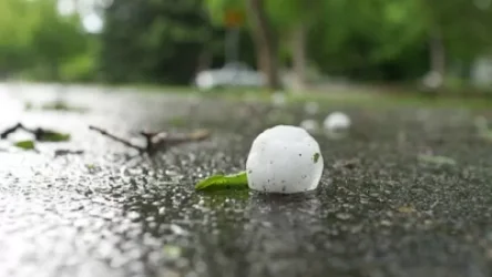 Գյուղացին «կոտրած տաշտակի» առջև չի կանգնել. Իջևանի համայնքապետարան