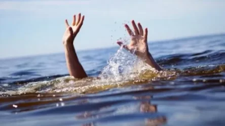 Դին ջրից դուրս բերելը տևել է 3 րոպե. նոր մանրամասներ