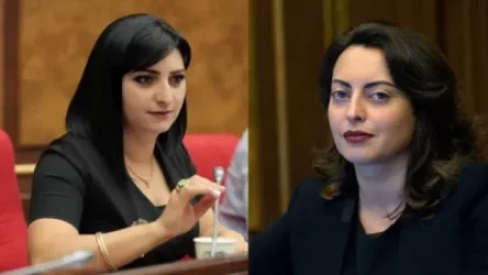 «Իդիոտկա». Թովմասյանը դատի է տվել Նազարյանին