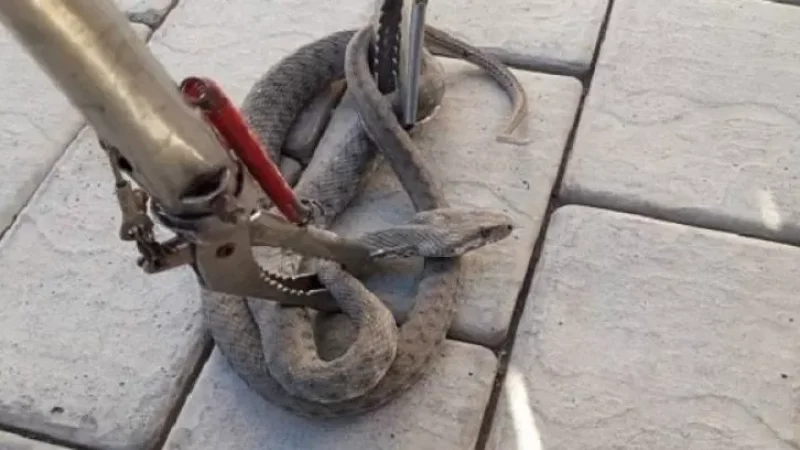 Երկու օրում՝ 18 ահազանգ