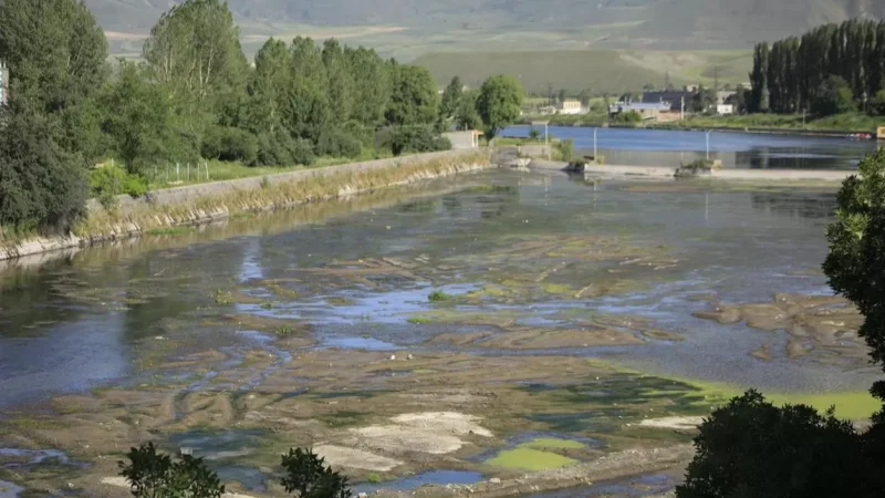 Սիսիան քաղաքի կոյուղաջրերը հոսում են Որոտան գետ․ մաքրման կայանը սեփականաշնորհված է. «Հետք»