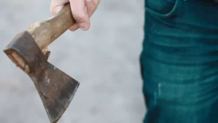 Ղազախստանում աշակերտը կացնով և դանակով հարձակվել է դպրոցականների վրա