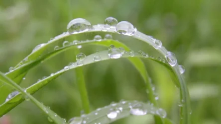 Ժամանակ առ ժամանակ սպասվում է անձրև և ամպրոպ. եղանակի տեսություն