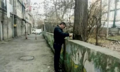 Երևանում անհայտ անձը անցքեր է բացել ծառի վրա և լցրել դրանք անհայտ ծագման հեղուկով