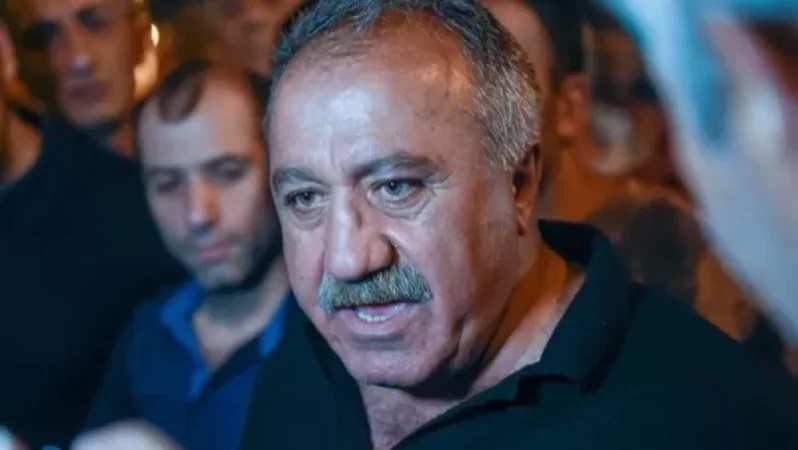 Սահմանային իրավիճակը խառն է. Սասուն Միքայելյանի կոչը