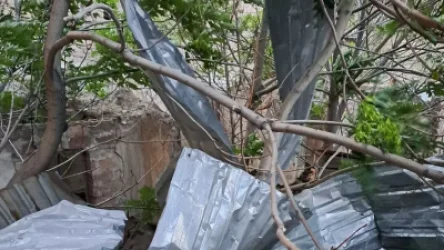 ԼՈՒՍԱՆԿԱՐՆԵՐ. Երևանում քամու հետևանքով վնասներ են եղել