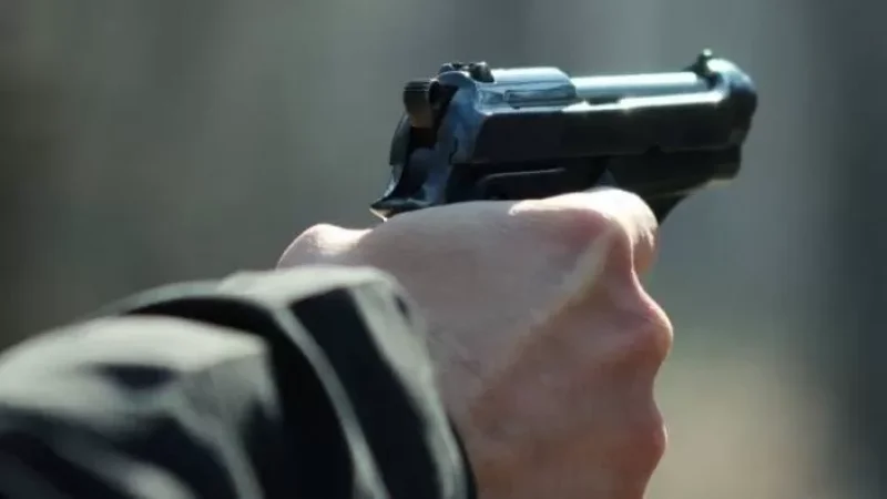 Husband Shoots Wife and Strikes Her with Pistol Grip