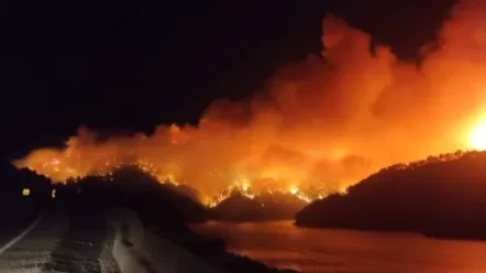 Ֆրանսիան և Հունաստանը հրաժարվել են Թուրքիա հրշեջ ինքնաթիռներ ուղարկելուց. Չավուշօղլու