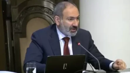 Որ եղանակն այս տեմպերով փոխվի, մյուս տարվա վերջին կսկսենք ՀՀ-ում ձիթապտուղ աճեցնել. Փաշինյան