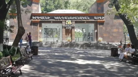 Կենդանաբանական այգին տեղափոխում են, իսկ այգու կառավարման խորհուրդը տեղյակ չէ․ ԶԼՄ