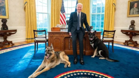 Բայդենի շունը կծել է յոթ մարդու