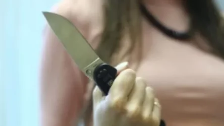 Դանակով զինված 9-րդ դասարանի աղջիկը հարձակվել է Արցախի հերոս Առուշանյան Դավիթի մոր վրա․ Արամ Գևորգյան