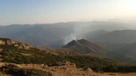 Նռնաձորում բռնկված հրդեհը մարվել է