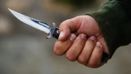 71-ամյա տղամարդը դանակահարել էր 69-ամյա եղբորը