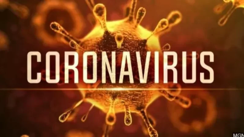 ՀՀ-ում իրականացվել է կորոնավիրուսի 262 հետազոտություն, մեկուսացված է թվով 88 անձ