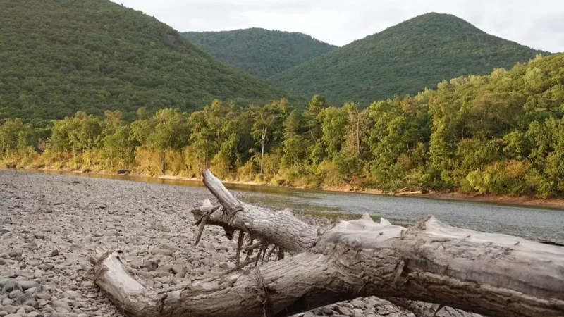 Ռաֆթինգի ժամանակ անհետացել է զբոսաշրջիկների խումբ՝ 11 երեխաներով. ՌԴ