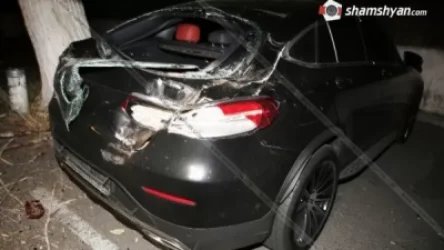 Հրազդանի կիրճում հսկայական ծառն ընկել է Mercedes մակնիշի մեքենայի վրա