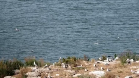 Մաքրման աշխատանքներ «Սևան» ազգային պարկի 2 համայնքների միջև ընկած առափնյա տարածքում