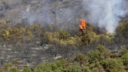 «Խոսրովի անտառ» պետական արգելոցի տարածքում հրդեհ է բռնկվել