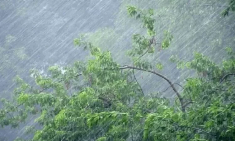 Ջերմաստիճանը կցրտի 10-12 աստիճանով. Սուրենյան