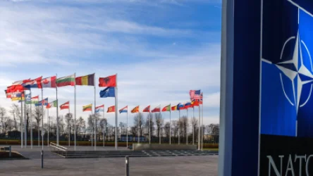 Թուրքիայի խորհրդարանը հավանություն է տվել Ֆինլանդիայի` ՆԱՏՕ-ին անդամակցության հայտին