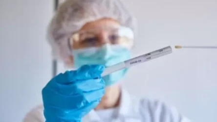 ՊՇՌ հետազոտություն՝ առանց լիցենզիայի՞. «Փաստ»