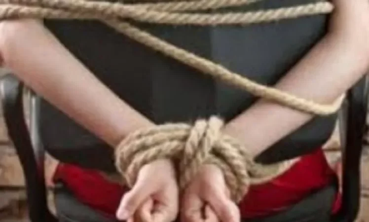 Գեղարքունիքի մարզում դիմակավորված կապկպել են տարեց կնոջը. մանրամասներ