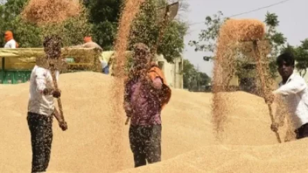 Հնդկաստանն արգելել է ցորենի արտահանումը