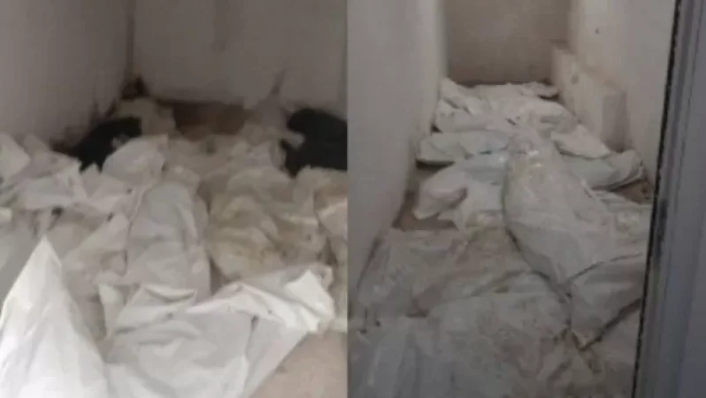 Հարազատների որոշ մասը չի հավատում, որ իրենց զինծառայողի դին է, այդ պատճառով չեն վերցրել. Auroranews-ը ԱՆ-ից նոր մանրամասներ է ճշտել