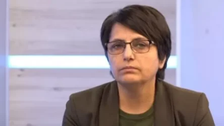 «Եթե այս խոսքերը պիտի ներվի, ուրեմն մեր զավակները ծնող չեն ունեցել»․ Կարին Տոնոյան