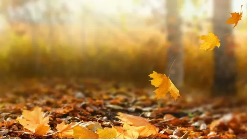 Օդի ջերմաստիճանը կբարձրանա. առաջիկա օրերի եղանակը