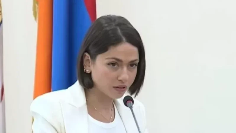 Նուարդ Վարդանյանը՝ ավագանու անդամ դառնալուց հետո իր ունեցվածքի փոփոխությունների մասին