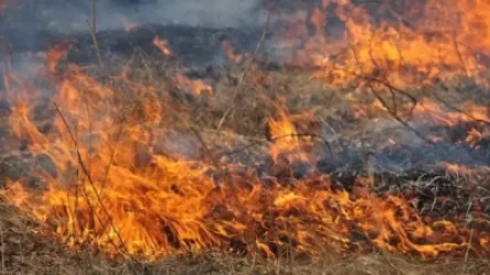 Վերջին մեկ շաբաթում գրեթե օր չի եղել, որ հրդեհներ չբռնկվեն, մեղավորը մարդիկ են,-ասում է ՇՄ ՃԿԿ պետ Մարդիկ Մկոյանը