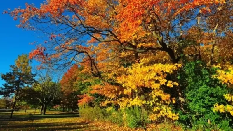 Առաջիկա 4 օրվա եղանակի կանխատեսում