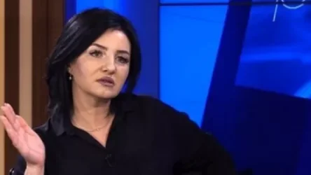 Իրավիճակը՝ Արցախում. Մետաքսե Հակոբյանը մանրամասներ է ներկայացնում