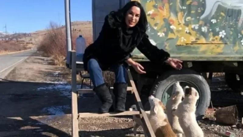 Ասել են թափառող շները հոտով ճանաչում են կենտրոնի աշխատակիցներին ու նրանց մոտենալուն պես անէանում են․ Զոհրաբյան