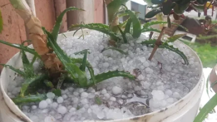 ՏԵՍԱՆՅՈՒԹ. Ուժեղ կարկուտ է տեղացել Գորիսում