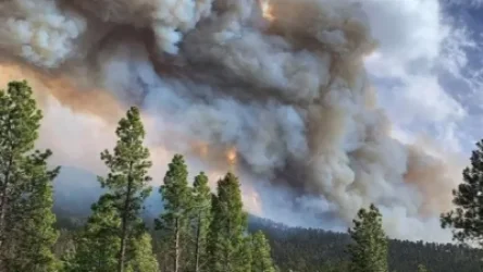 ՏԵՍԱՆՅՈՒԹ․ ԱՄՆ Արիզոնա, Նյու Մեքսիկո և Կոլորադո նահանգներում անտառային հրդեհներ են