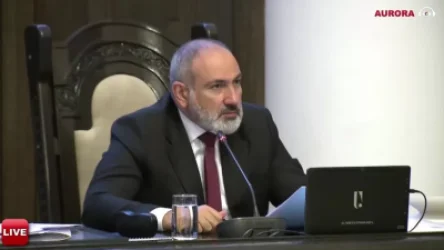 ՏԵՍԱՆՅՈՒԹ. «Հատ–հատ գնացեք տներով ու իրազեկեք «խելացի անասնագոմերի» մասին. Փաշինյան