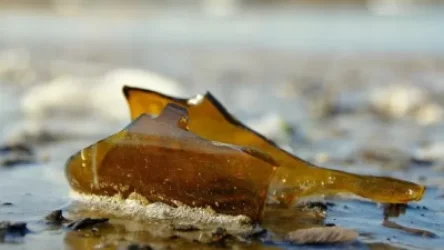 Խուլիգանություն՝ երևանյան փաբերից մեկում. հարբած ծեծկռտուք են սարքել, կոտրել դատարկ շշերը