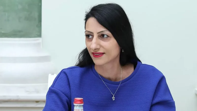 ՄԻՊ–ը` 16-ամյա տղային ծեծելու դեպքի մասին