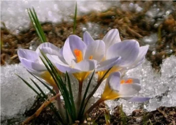 Որքան կբարձրանա ջերմաստիճանը