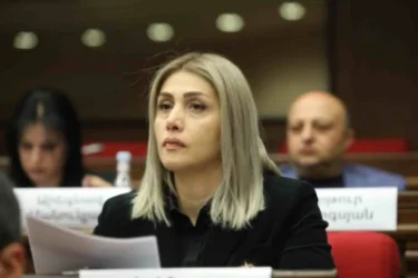 Սա իրավական սոուսով համեմված քաղաքական հաշվեհարդար է. Էլինար Վարդանյան