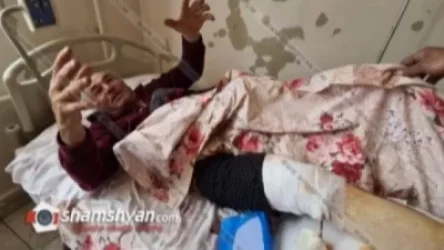 Արտակարգ դեպք՝ Արագածոտնի մարզում․ արջն իր 2 քոթոթներով հարձակվել է սիբեխ հավաքող տղամարդու վրա