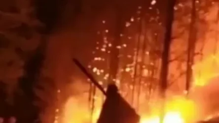 ՏԵՍԱՆՅՈՒԹ.Կրասնոյարսկի երկրամասում հրդեհները շարունակվում են